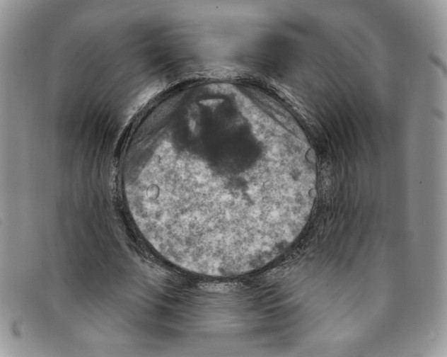 X0000095550679200801111454