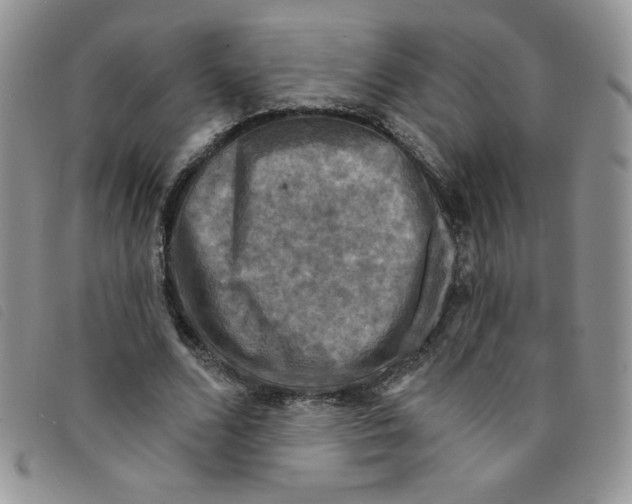 X0000095550680200801111454