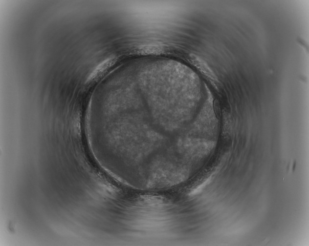 X0000095550681200801111454