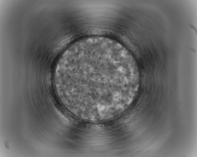 X0000095550683200801111454