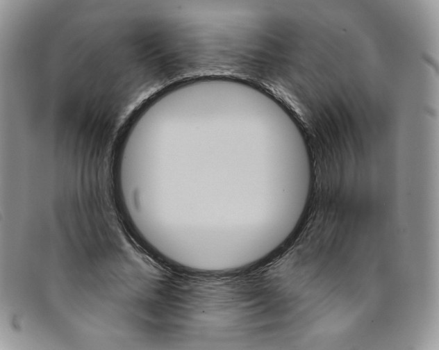 X0000095550684200801111454