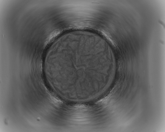 X0000095550685200801111454