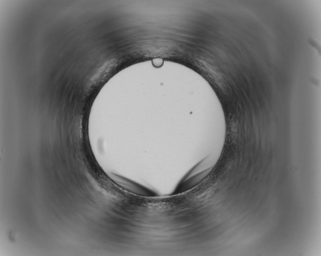 X0000095550686200801111454