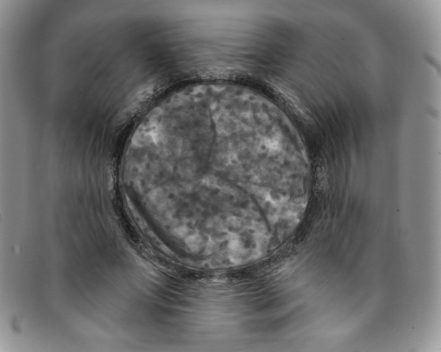 X0000095550687200801111454