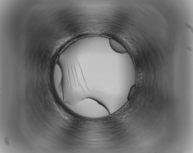 X0000095550688200801111454