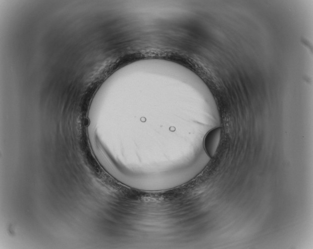 X0000095550690200801111454