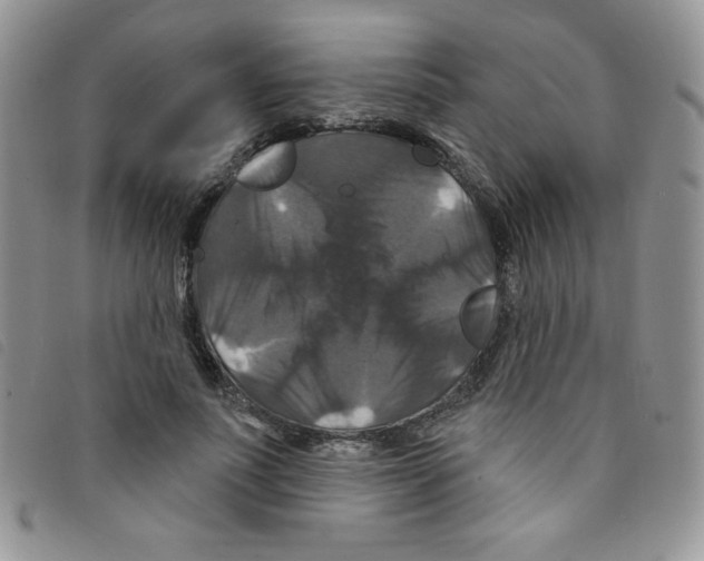 X0000095550691200801111454