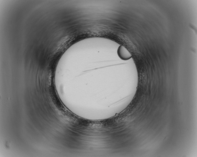 X0000095550694200801111454