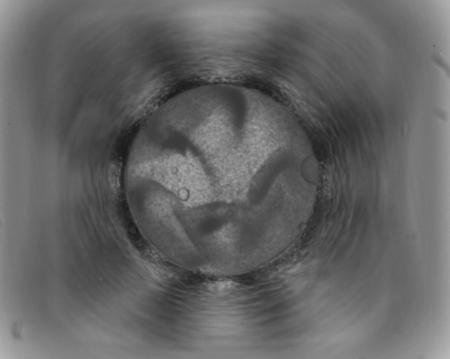 X0000095550695200801111454