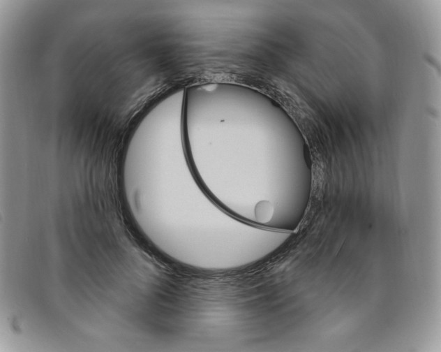 X0000095550696200801111454