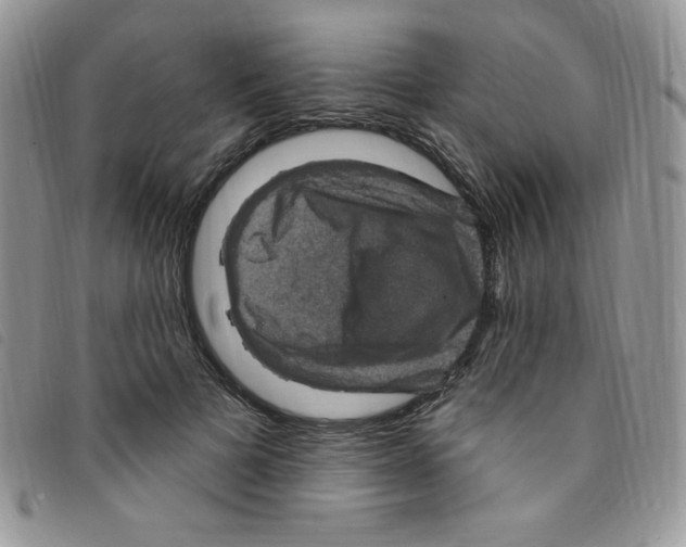 X0000095550697200801111454