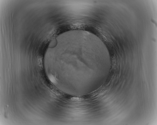 X0000095550699200801111454