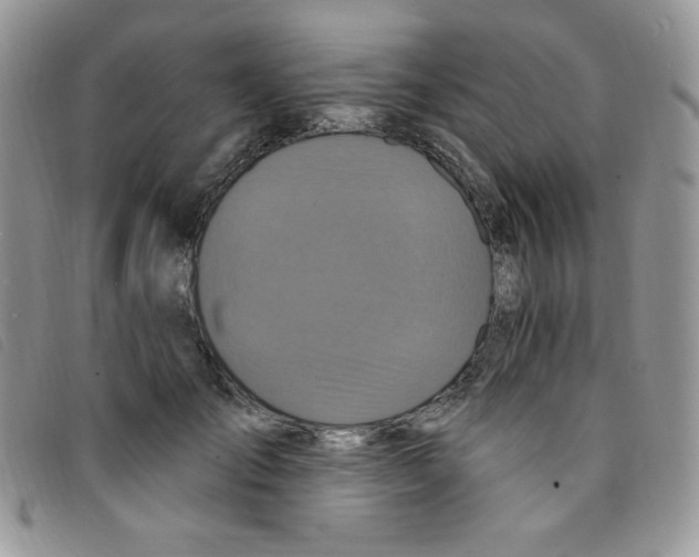 X0000095550701200801111454