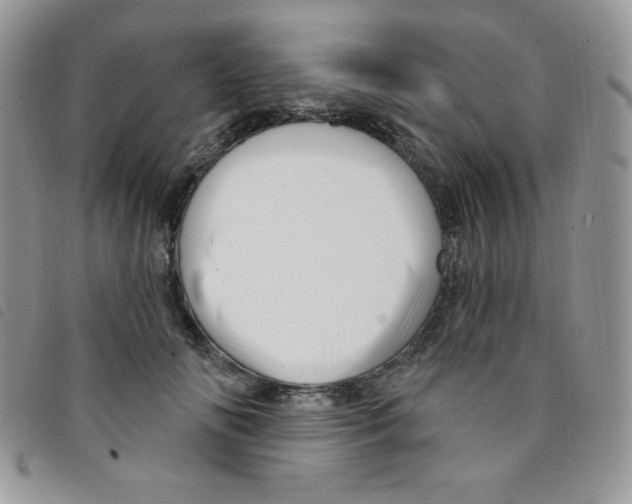 X0000095550702200801111454