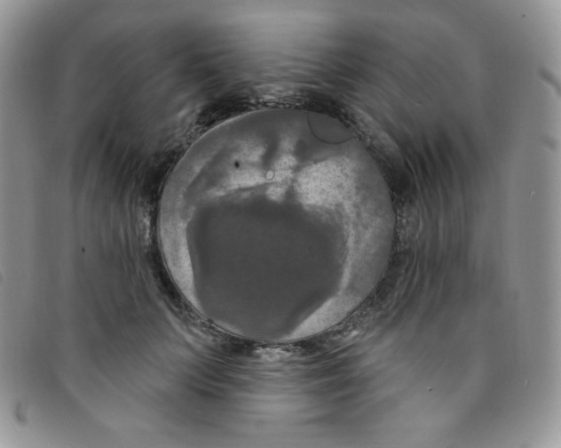 X0000095550703200801111454