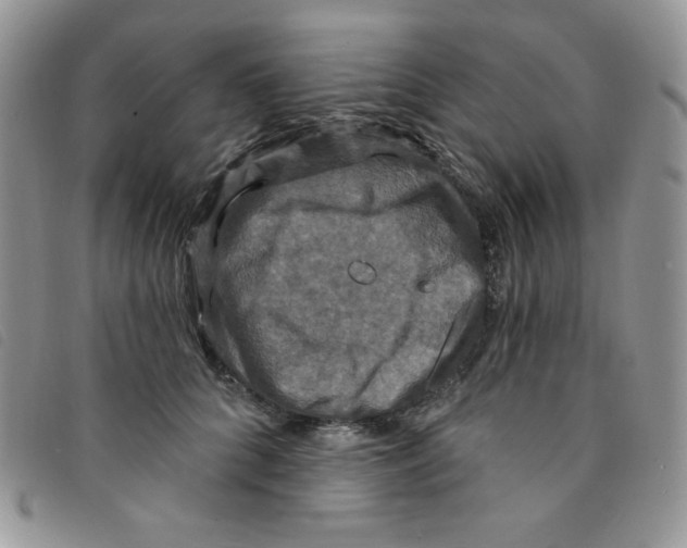 X0000095550704200801111454