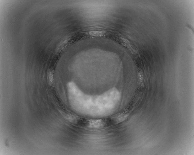 X0000095550705200801111454