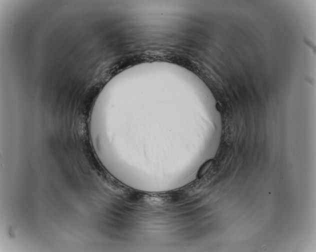 X0000095550706200801111454