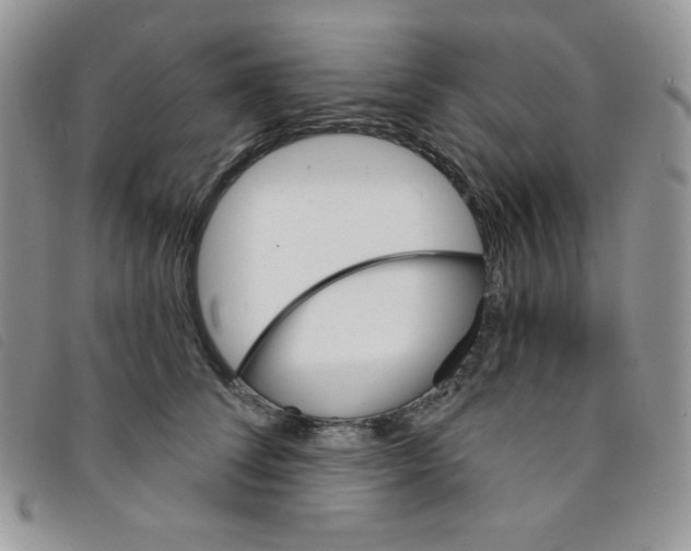 X0000095550708200801111454