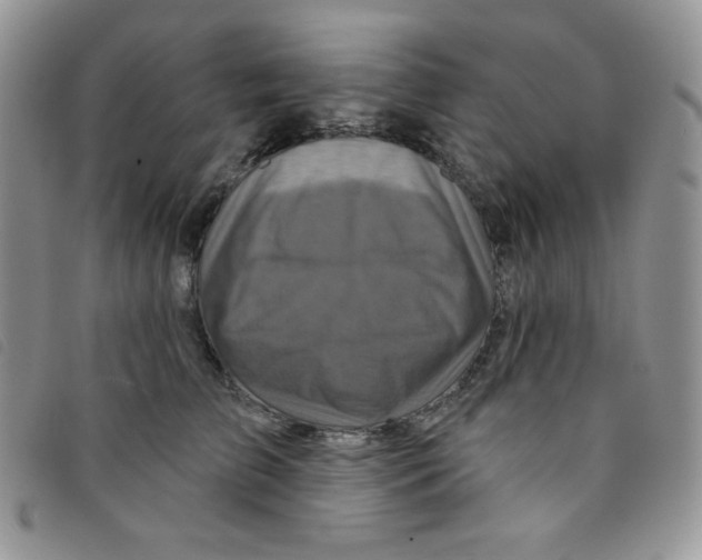 X0000095550709200801111454