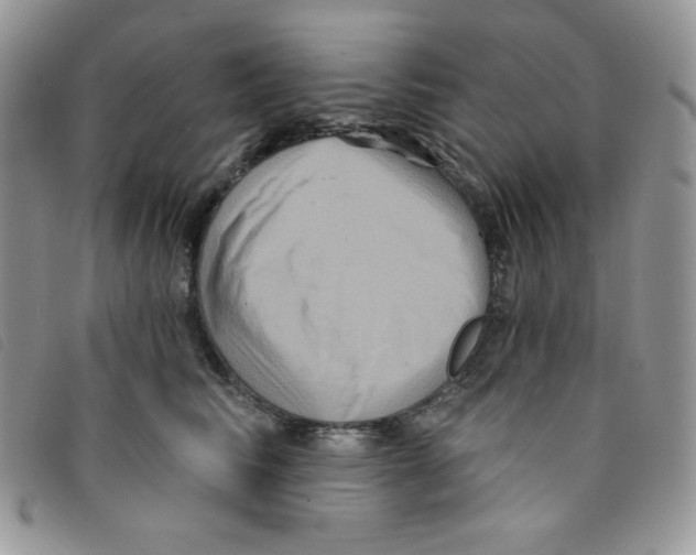 X0000095550710200801111454