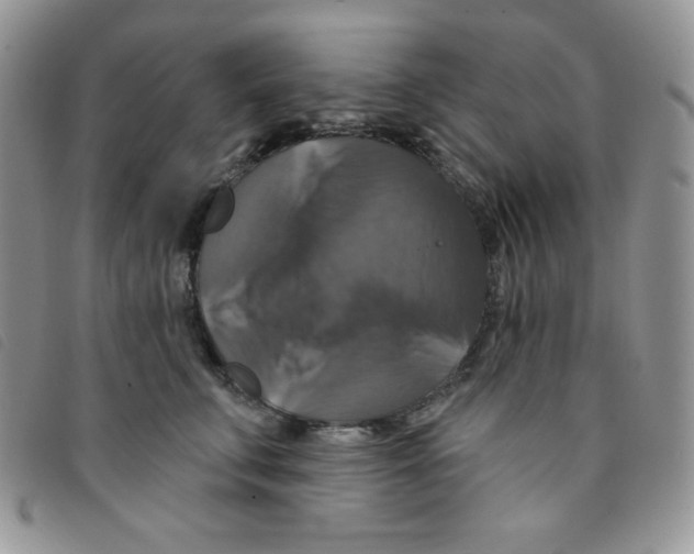 X0000095550711200801111454