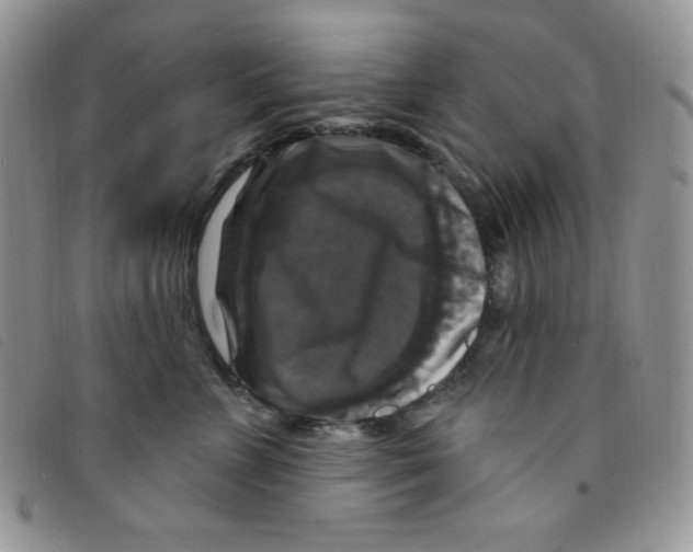 X0000095550715200801111454