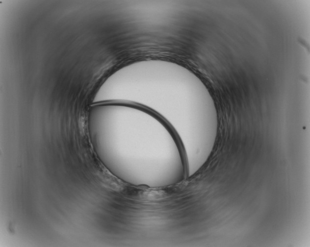 X0000095550716200801111454