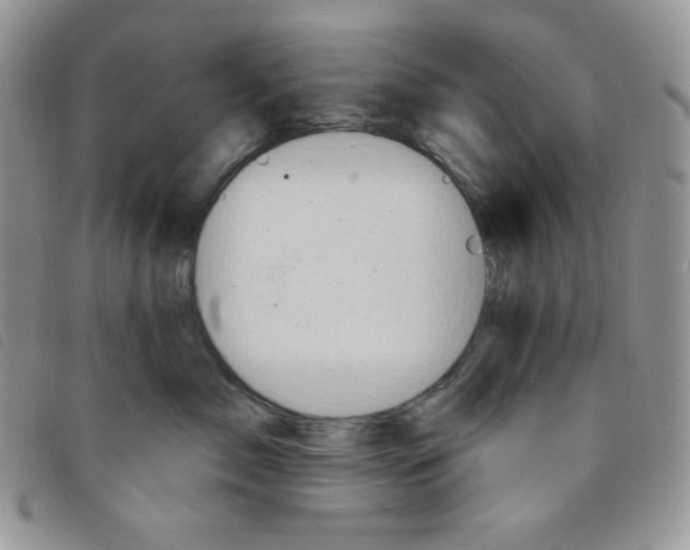 X0000095550717200801111454