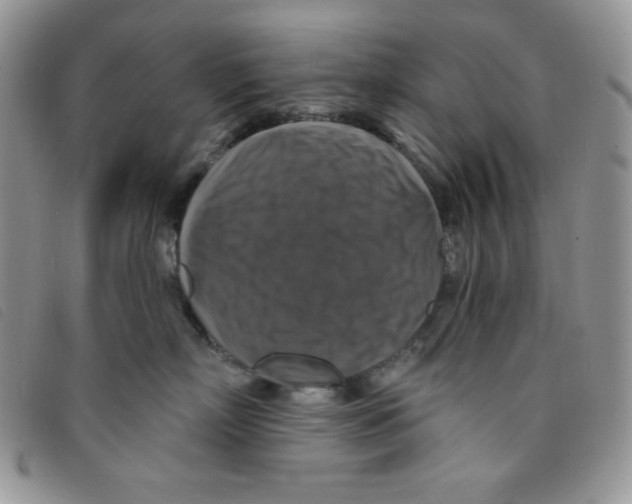 X0000095550718200801111454