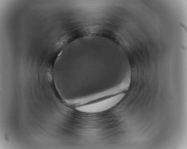 X0000095550719200801111454