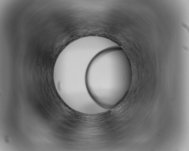 X0000095550720200801111454