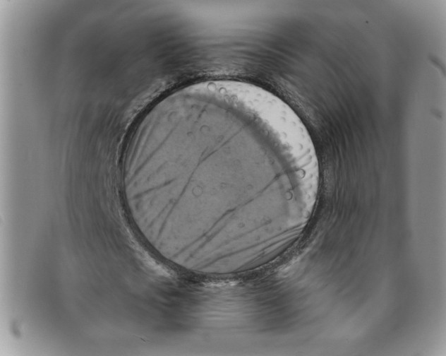 X0000095550721200801111453