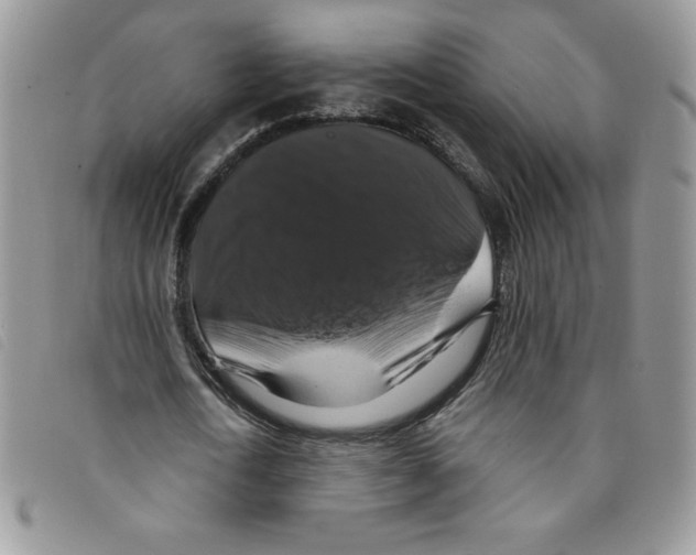 X0000095550722200801111453