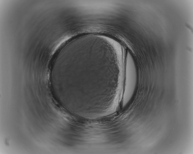 X0000095550723200801111453