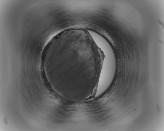 X0000095550724200801111453