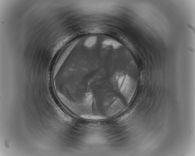 X0000095550725200801111453