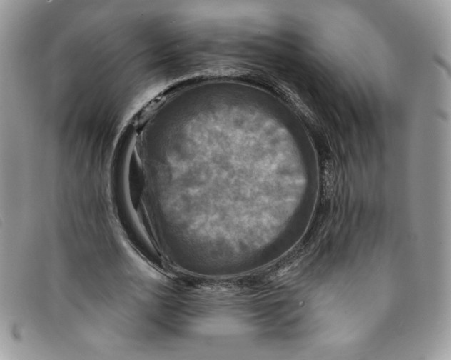 X0000095550726200801111453