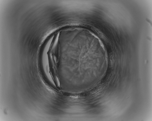 X0000095550728200801111453