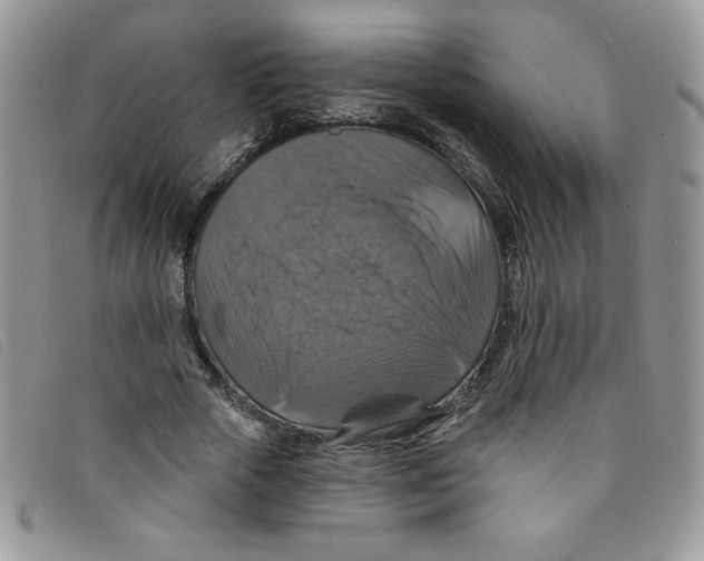 X0000095550729200801111453