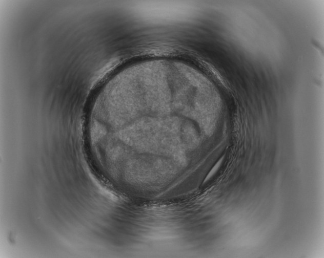 X0000095550730200801111453