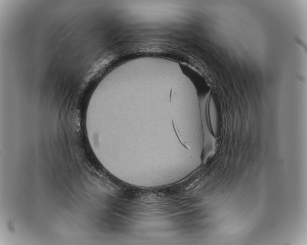 X0000095550731200801111453