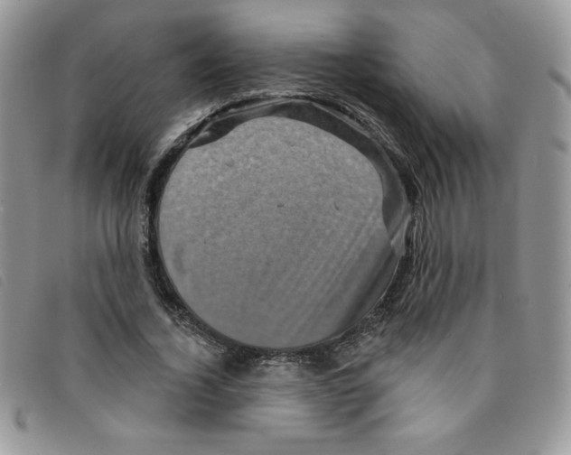 X0000095550732200801111453