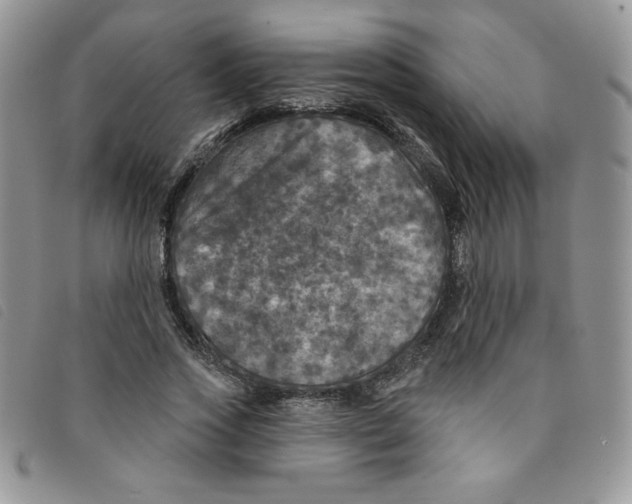 X0000095550733200801111453