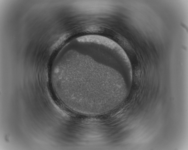 X0000095550734200801111453