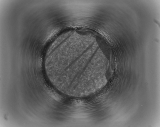 X0000095550735200801111453