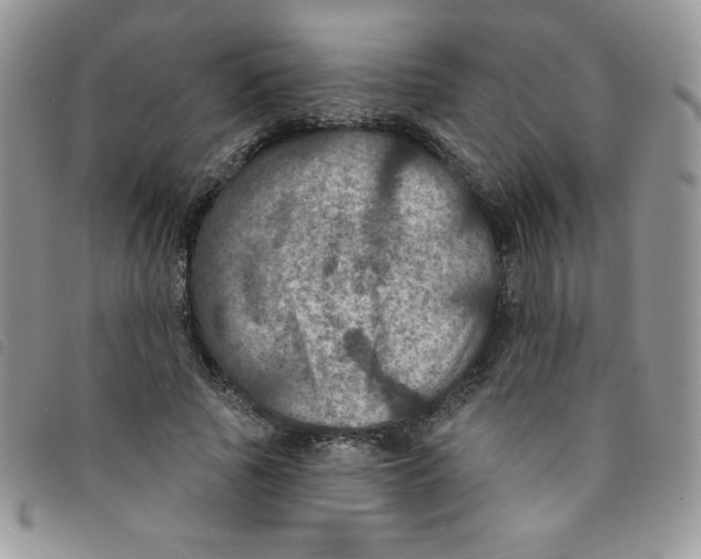 X0000095550737200801111453