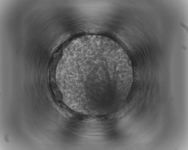 X0000095550738200801111453