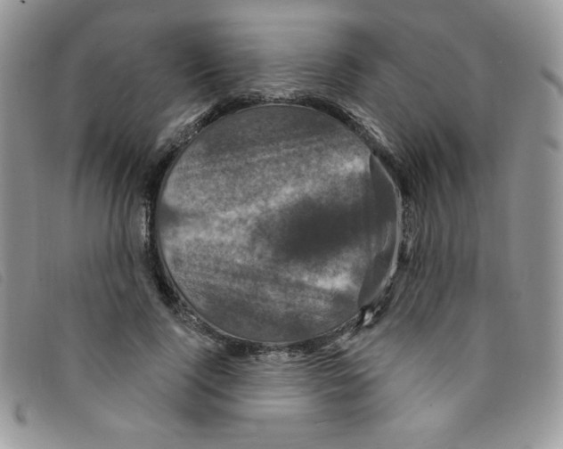 X0000095550740200801111453