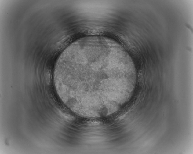 X0000095550741200801111453